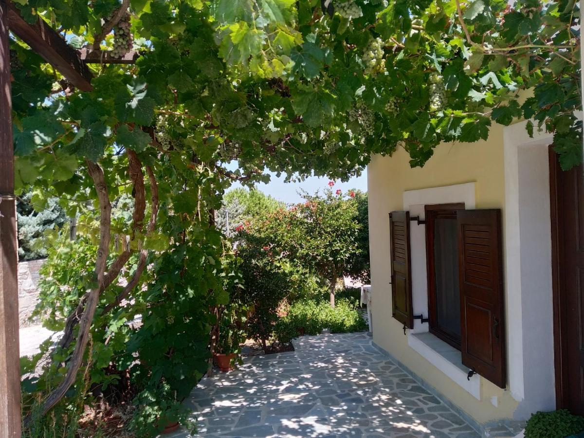 Theodorou Hotel Azólimnosz Kültér fotó